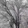 湖南洪福水产潜江小龙虾的一亩田店铺
