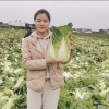 亿保恒果蔬的一亩田店铺