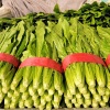 河北国邦精品菜业的一亩田店铺