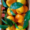 多多果蔬农贸的一亩田店铺