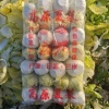 周口小李菜业的一亩田店铺