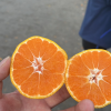 万奔果蔬的一亩田店铺