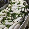 湖北龚鑫白萝卜售卖的一亩田店铺