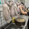 佛山市桂昇黑棕鹅批发的一亩田店铺