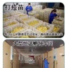 杨氏鸡鸭鹅苗孵化基地的一亩田店铺