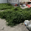 腾冲禾禄农业有限公司的一亩田店铺