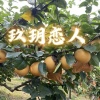 方伟家的小店的一亩田店铺