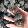 洪湖世威水产的一亩田店铺