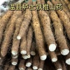 温县穗鑫种植家庭农场的一亩田店铺