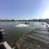 武进水产养殖场灵台养殖场的一亩田店铺
