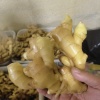 王继川的一亩田店铺