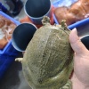 南京市六合区吴卫民水产的一亩田店铺