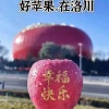 安善精源冷库的一亩田店铺