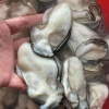 洪静宜的一亩田店铺