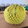 中天百果园的一亩田店铺
