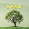 绿熊百货有限责任公司的一亩田店铺