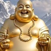江苏安润生物科技有限公司的一亩田店铺