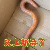 江冰的一亩田店铺