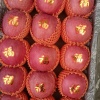 郑铮的一亩田店铺