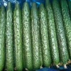 菜悦蔬菜代办的一亩田店铺