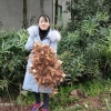 仁寿创新农业开发有限公司的一亩田店铺