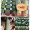 怡聪果蔬的一亩田店铺