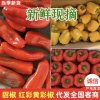 果亮鲜的一亩田店铺