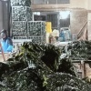 山东荣成海带裙带销售的一亩田店铺