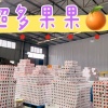 向阳果业生鲜的一亩田店铺