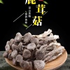 古田与菌同行食用菌批发的一亩田店铺