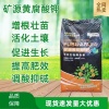 飞翔农业发展有限公司的一亩田店铺