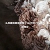 魏氏农业种植合作社的一亩田店铺