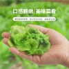 至诚蔬果有限公司的一亩田店铺