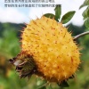 贵州金翁众合食品科技有限公司的一亩田店铺