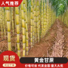 秦力果业的一亩田店铺