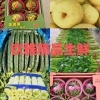 安徽钦雅生鲜果蔬供应的一亩田店铺