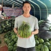 大璐果业的一亩田店铺