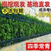 彭向前的一亩田店铺