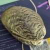 俸国强的一亩田店铺