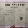 长金种植合作社的一亩田店铺