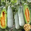 莘县家信瓜果蔬菜代收的一亩田店铺