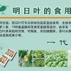 梁少康的一亩田店铺