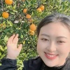 美美姐果蔬甄选的一亩田店铺