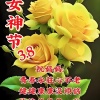 赵青兰的一亩田店铺