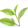 昆明市杨帆茶叶批发部的一亩田店铺