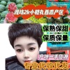 潍坊瓜果蔬菜专业合作社的一亩田店铺