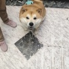 李兆钦的一亩田店铺