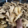 会杰果蔬代发的一亩田店铺