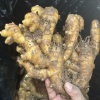 景百福种植合作社的一亩田店铺
