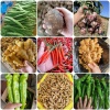 腾鑫中药材农民专业合作社的一亩田店铺
